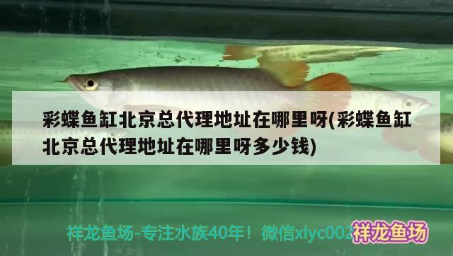 济南历下区青藤水族用品店