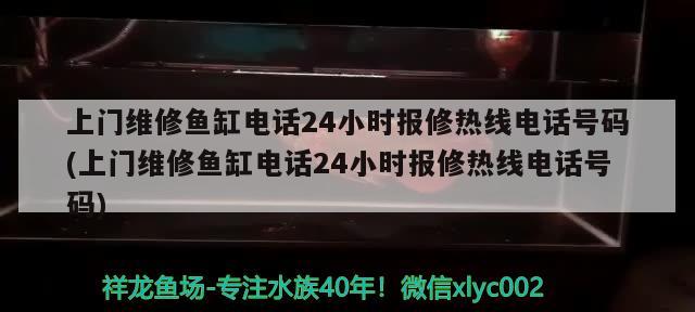 上门维修鱼缸电话24小时报修热线电话号码(上门维修鱼缸电话24小时报修热线电话号码) 纯血皇冠黑白魟鱼