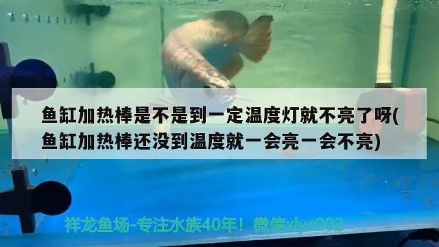 黄金珍珠项链价格：珍珠项链 价格 观赏鱼 第2张