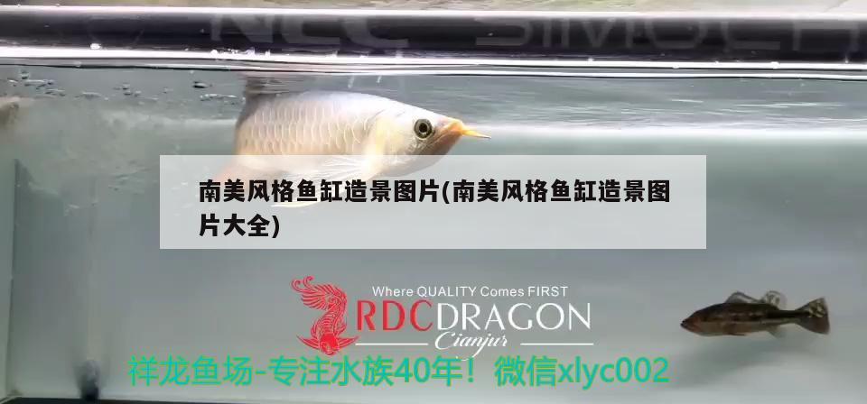 一体式鱼缸优缺点：鱼缸一体机 广州水族批发市场 第2张