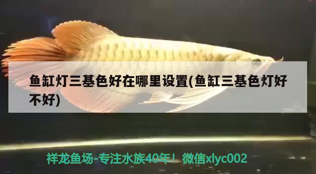 广州市番禺区桥南街顺威水族器材店 全国水族馆企业名录 第3张