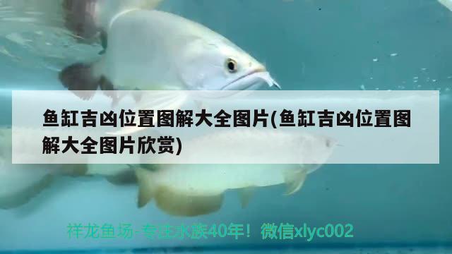 广州市番禺区桥南街顺威水族器材店 全国水族馆企业名录 第2张