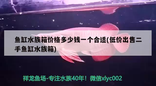 鱼缸水族箱价格多少钱一个合适(低价出售二手鱼缸水族箱) 鱼缸/水族箱