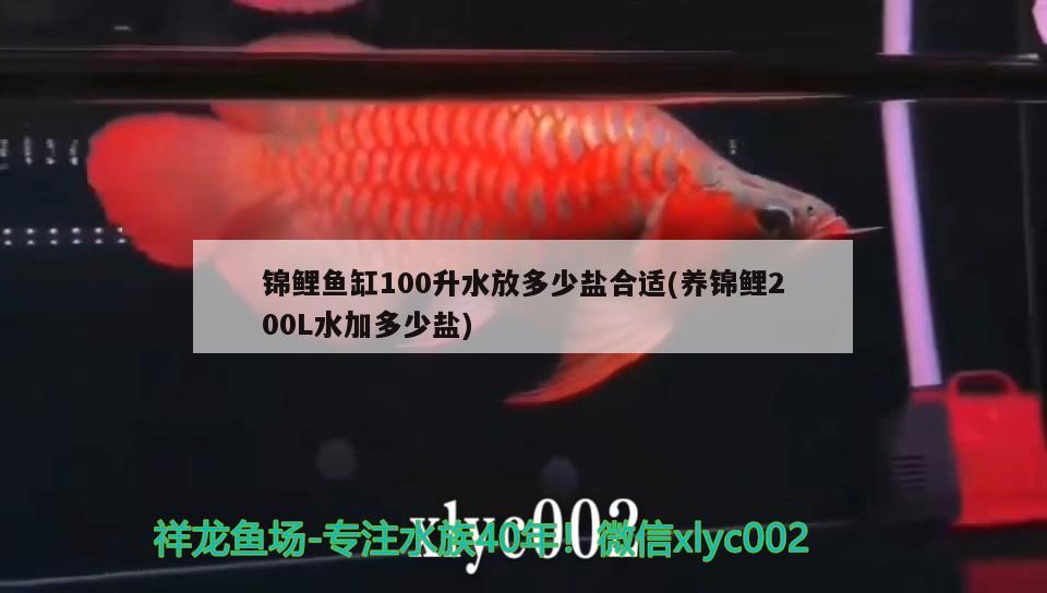 崂山区熙来源果蔬种植（山东熙源农业科技有限公司） 全国水族馆企业名录 第2张