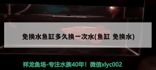 盐城鱼缸回收电话号码查询地址和盐城鱼缸回收电话号码查询地址介绍，盐城鱼缸回收电话号码查询地址 鱼缸/水族箱 第2张