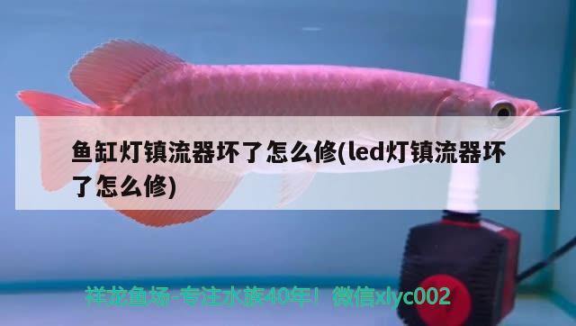 鱼缸灯镇流器坏了怎么修(led灯镇流器坏了怎么修)