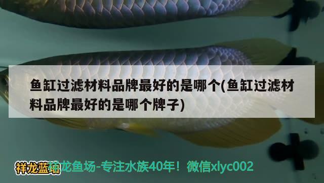 鱼缸过滤材料品牌最好的是哪个(鱼缸过滤材料品牌最好的是哪个牌子)