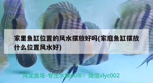 幼儿园大班全景数学数字网格的详案有哪些，伞的分类中班教案