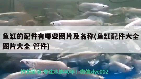 鱼缸的配件有哪些图片及名称(鱼缸配件大全图片大全管件) 马拉莫宝石鱼