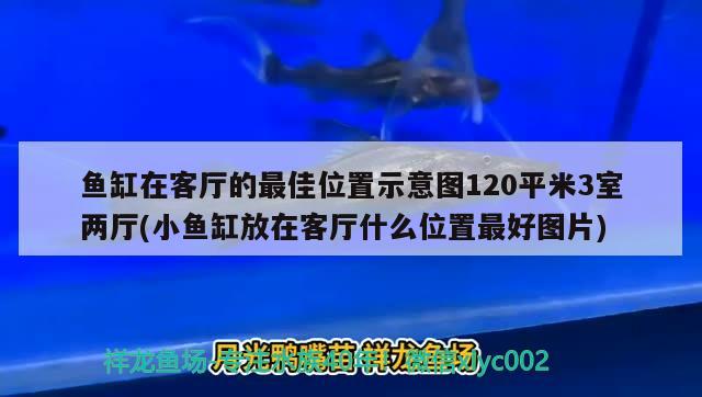 鱼缸在客厅的最佳位置示意图120平米3室两厅(小鱼缸放在客厅什么位置最好图片)