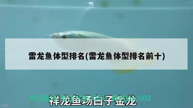 梅州市梅江区三洲水族店，梅州市梅江区三洲水族店地址 全国水族馆企业名录 第1张