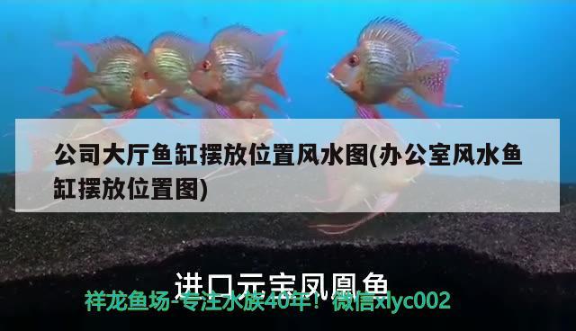 北京玉铭艺堂珠宝店 全国水族馆企业名录 第1张