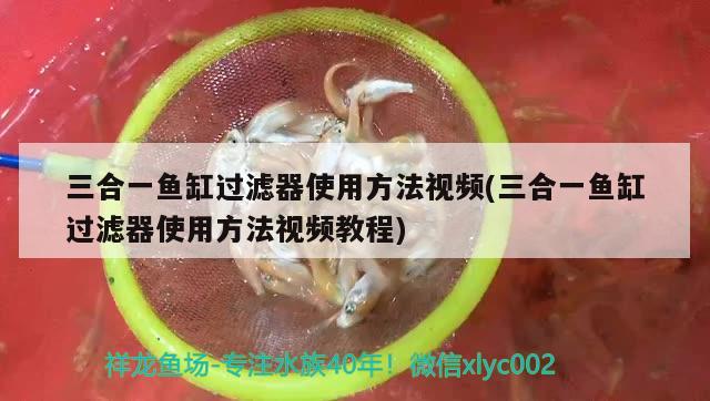 三合一鱼缸过滤器使用方法视频(三合一鱼缸过滤器使用方法视频教程) 黑桃A鱼