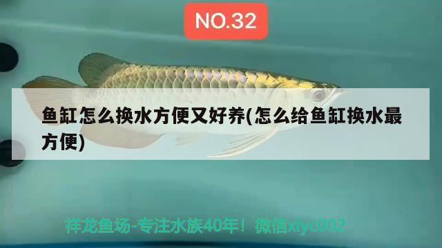 鱼缸怎么换水方便又好养(怎么给鱼缸换水最方便) 祥龙金禾金龙鱼