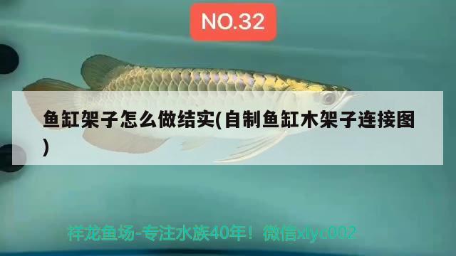 鲤鱼与绿鲤鱼与驴绕口令：绕口令红鲤鱼与绿鲤鱼与驴简单 观赏鱼 第2张