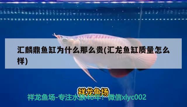 天津滨海新区海岸宠物用品店 全国水族馆企业名录 第2张