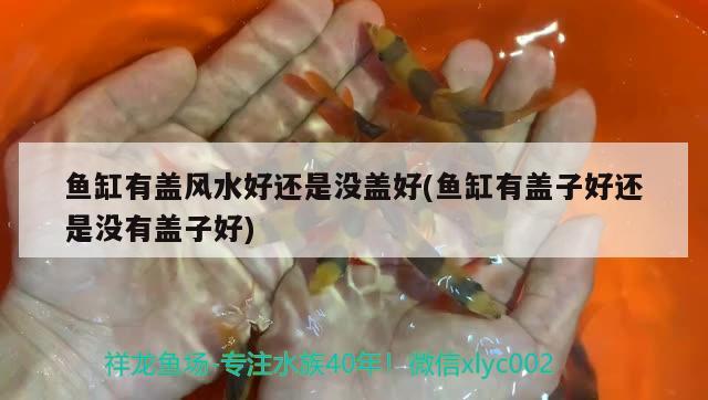 鱼缸有盖风水好还是没盖好(鱼缸有盖子好还是没有盖子好) 鱼缸风水