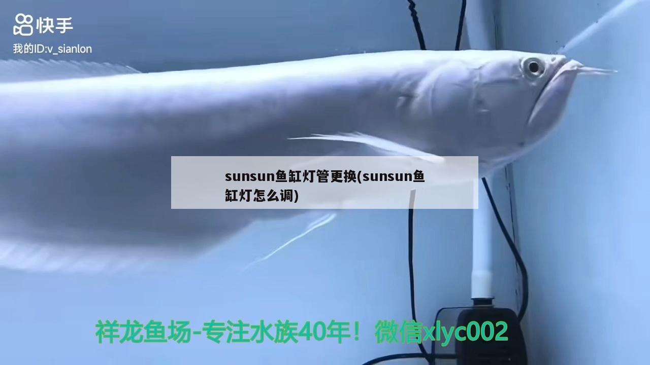 sunsun鱼缸灯管更换(sunsun鱼缸灯怎么调) 大正锦鲤鱼