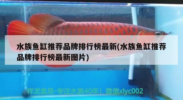 水族鱼缸推荐品牌排行榜最新(水族鱼缸推荐品牌排行榜最新图片) 肥料