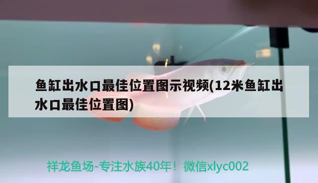 鱼缸出水口最佳位置图示视频(12米鱼缸出水口最佳位置图) 黑白双星