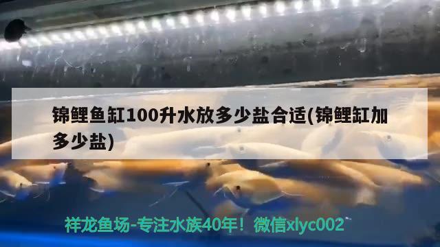 锦鲤鱼缸100升水放多少盐合适(锦鲤缸加多少盐) 国产元宝凤凰鱼