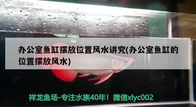 办公室鱼缸摆放位置风水讲究(办公室鱼缸的位置摆放风水) 鱼缸风水