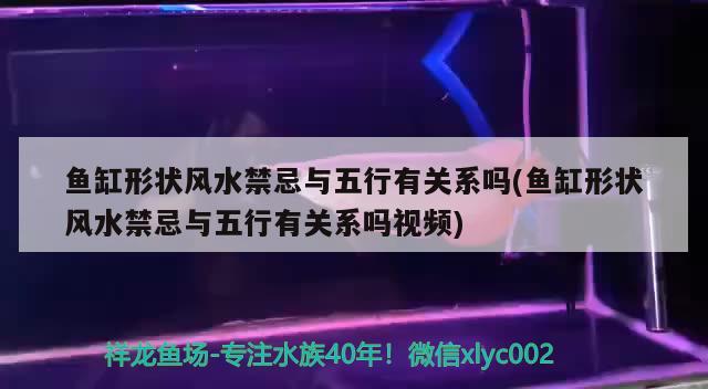 鱼缸形状风水禁忌与五行有关系吗(鱼缸形状风水禁忌与五行有关系吗视频) 鱼缸风水