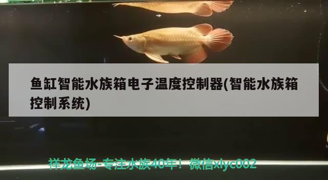 鱼缸智能水族箱电子温度控制器(智能水族箱控制系统) 鱼缸/水族箱