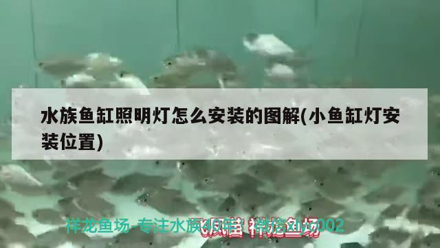 水族鱼缸照明灯怎么安装的图解(小鱼缸灯安装位置)