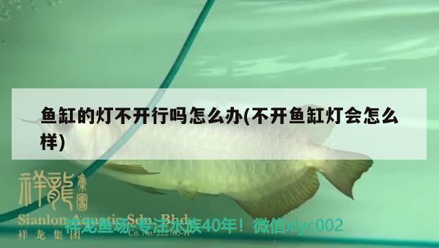 水霉鱼缸消毒方法视频教程（水霉鱼缸消毒方法视频教程全集）