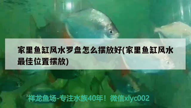 家里鱼缸风水罗盘怎么摆放好(家里鱼缸风水最佳位置摆放) 鱼缸风水