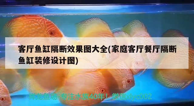 客厅鱼缸隔断效果图大全(家庭客厅餐厅隔断鱼缸装修设计图) 大白鲨鱼