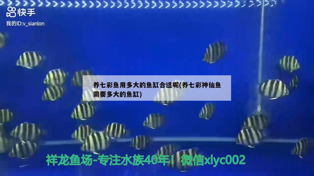 固原水族批发市场地址在哪（西北土炕装修自建） 图腾金龙鱼 第1张