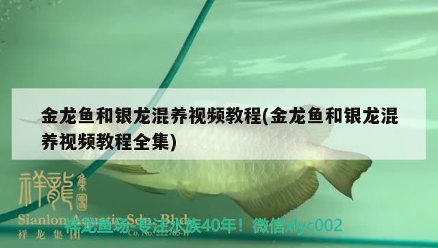 佳木斯水族批发市场地址电话号码查询 佳木斯批发鱼市场