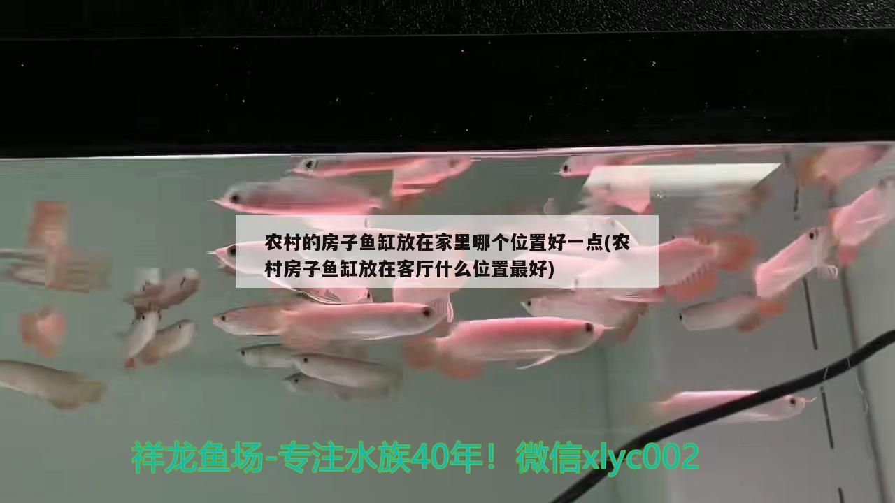 农村的房子鱼缸放在家里哪个位置好一点(农村房子鱼缸放在客厅什么位置最好)