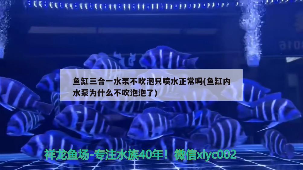 鱼缸三合一水泵不吹泡只喷水正常吗(鱼缸内水泵为什么不吹泡泡了) PH调节剂