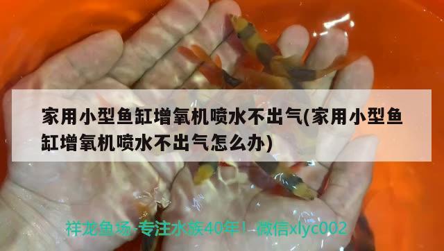 家用小型鱼缸增氧机喷水不出气(家用小型鱼缸增氧机喷水不出气怎么办) 三间鼠鱼苗