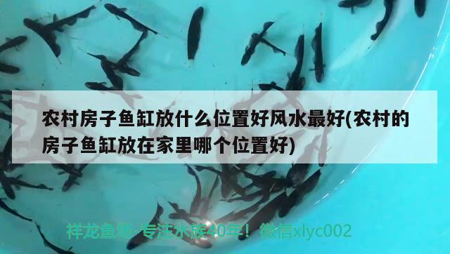 充氧泵充电（充氧泵充电得几个小时） 非洲金鼓鱼 第1张