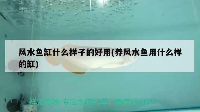 风水鱼缸什么样子的好用(养风水鱼用什么样的缸) 鱼缸风水