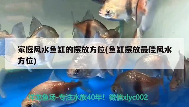 家庭风水鱼缸的摆放方位(鱼缸摆放最佳风水方位) 鱼缸风水