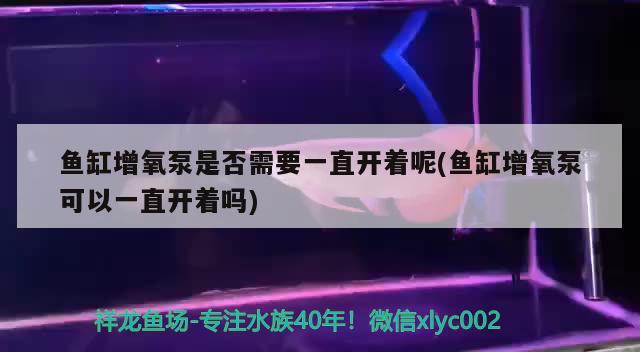 鱼缸增氧泵是否需要一直开着呢(鱼缸增氧泵可以一直开着吗) 朱巴利鱼苗