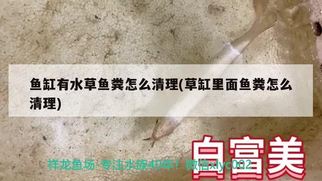 鱼缸充氧泵多少瓦（鱼缸氧气泵多少瓦）