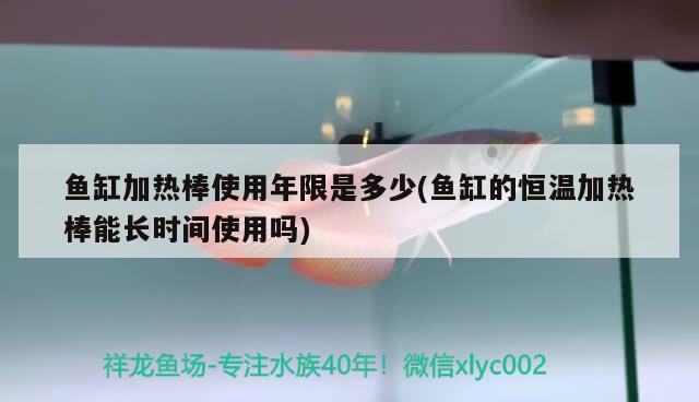 鱼缸加热棒使用年限是多少(鱼缸的恒温加热棒能长时间使用吗) 水族世界