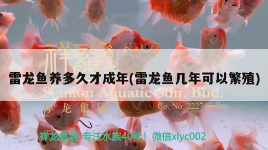 水族店鱼缸多层设计图片大全（ 水族馆鱼缸多层设计图） 熊猫异形鱼L46