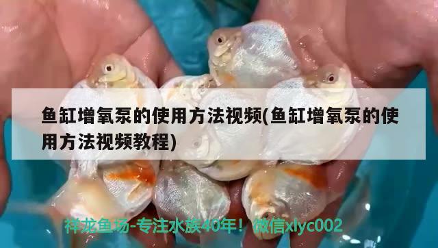 鱼缸增氧泵的使用方法视频(鱼缸增氧泵的使用方法视频教程)