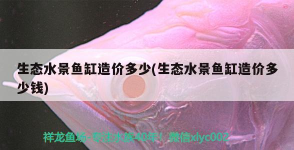 生态水景鱼缸造价多少(生态水景鱼缸造价多少钱) 龙鱼批发