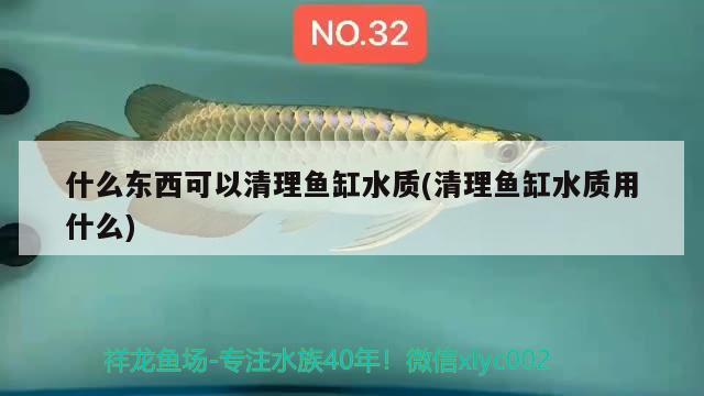 鱼缸里的水放多长时间可以放鱼（鱼缸里的水放多长时间可以放鱼了）