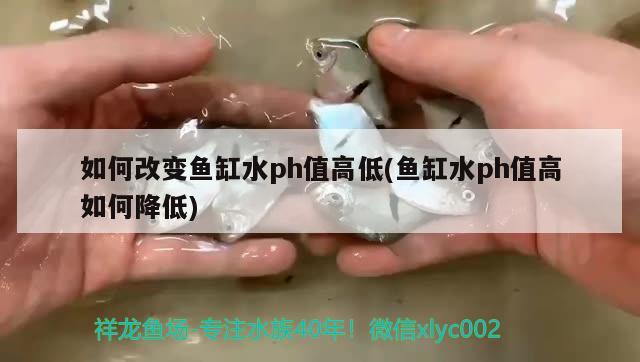 如何改变鱼缸水ph值高低(鱼缸水ph值高如何降低) 申古银版鱼