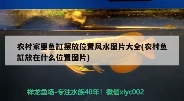 农村家里鱼缸摆放位置风水图片大全(农村鱼缸放在什么位置图片) 鱼缸风水