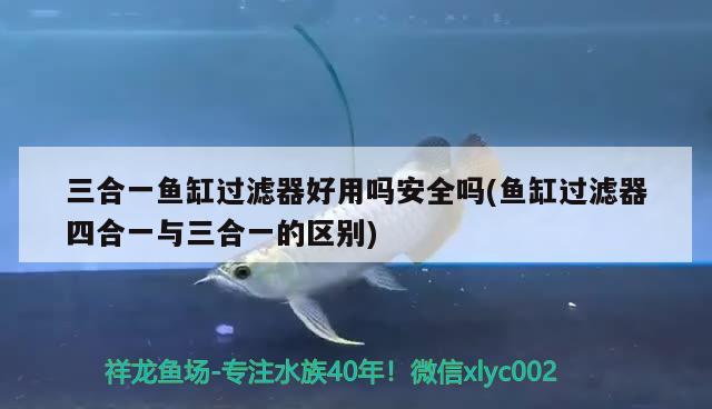 三合一鱼缸过滤器好用吗安全吗(鱼缸过滤器四合一与三合一的区别) 黑影道人鱼 第2张